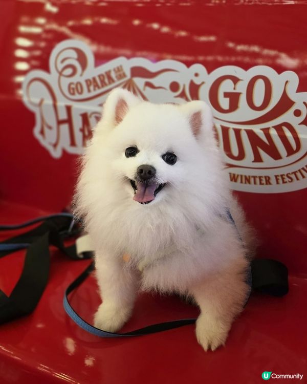 開心嘅假期過得特別快！