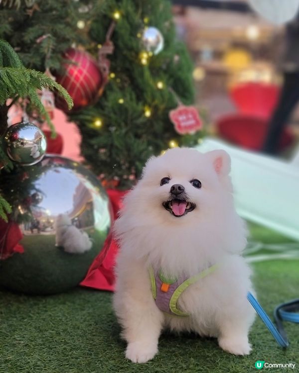 開心嘅假期過得特別快！