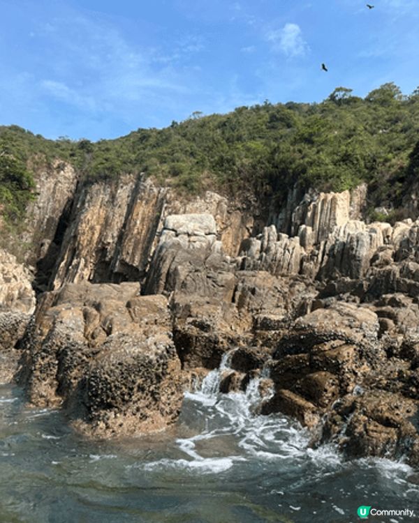 參加康文處獨木舟一日之旅（東丫）