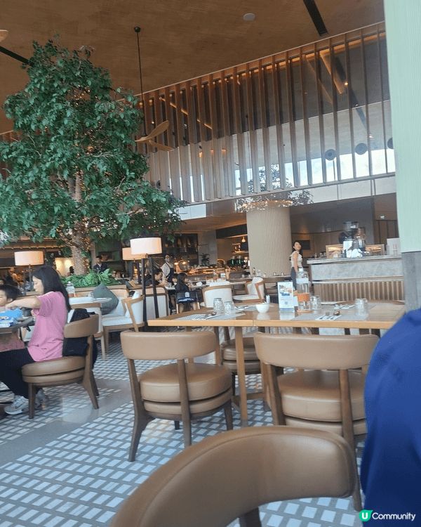 海洋公園睇熊貓，海豚後 可到附近酒店下午茶賞日落
