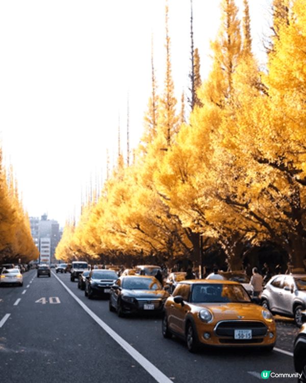 🍂 秋天去東京，我嘅必去List實有佢！