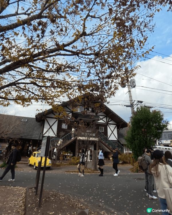 九州福岡，可以去浸溫泉，欣賞湖泊景色，打卡影靚相，參拜神社祈...