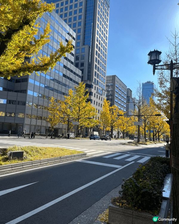 日本大阪,冇得講, 想舒服安全靚景,一定係去日本, 行下商店...