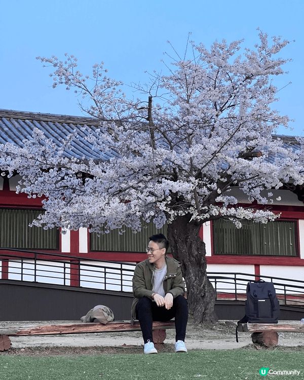 水族館 好可愛既企鵝 姫露城 好有歷史性既建築