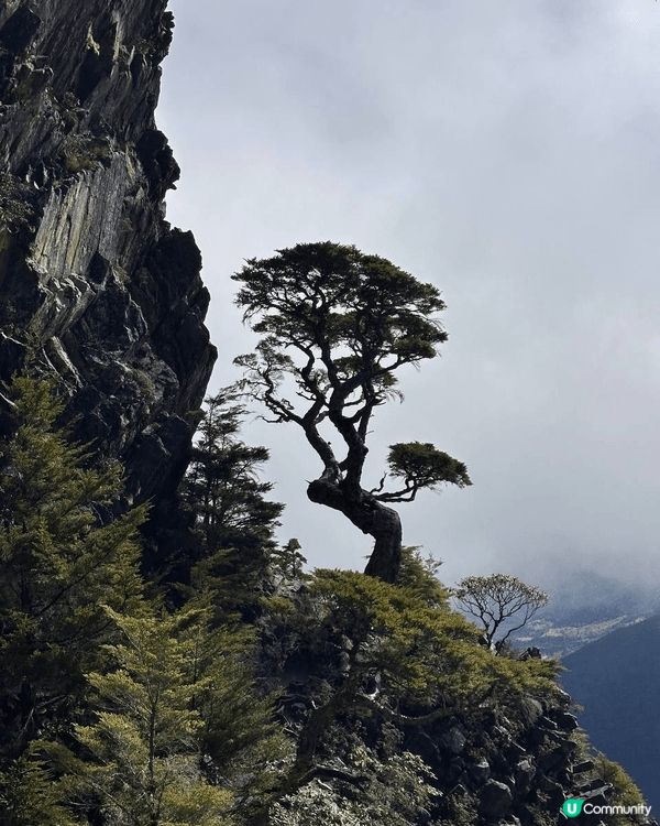 去過台灣品田山之後，我成日都覺得，嗰種感覺唔單止係登山嘅刺激...