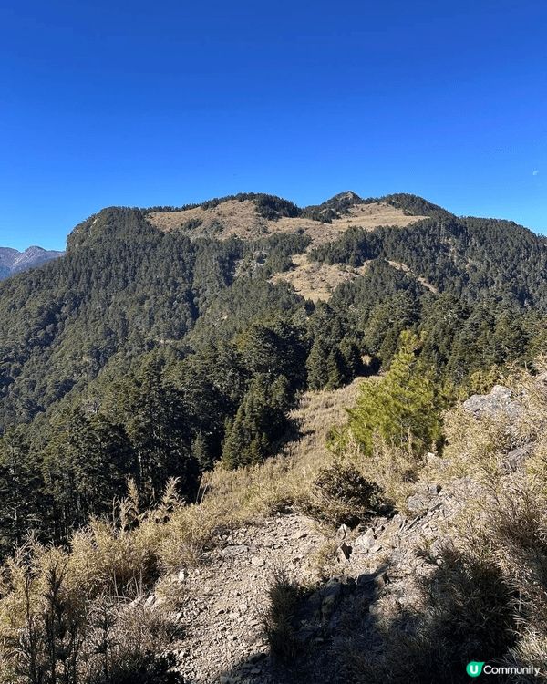去過台灣品田山之後，我成日都覺得，嗰種感覺唔單止係登山嘅刺激...