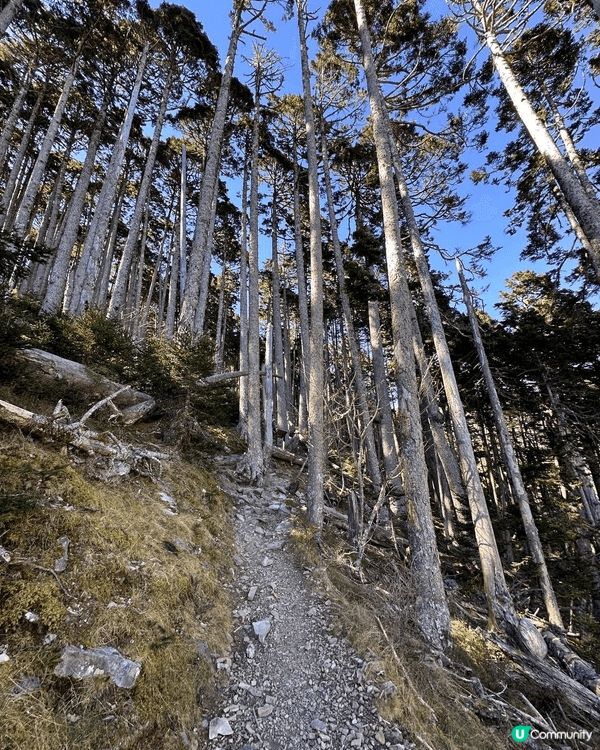 有啲地方，你只要去過一次，就會留低喺你心入面。品田山對我嚟講...