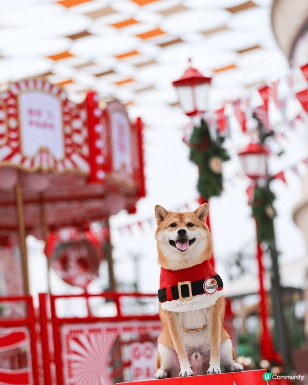 今個聖誕去咗好多唔同主題嘅商場打卡🎄🦊 