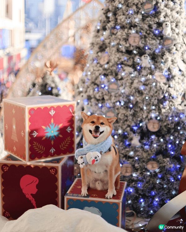 今個聖誕去咗好多唔同主題嘅商場打卡🎄🦊 
