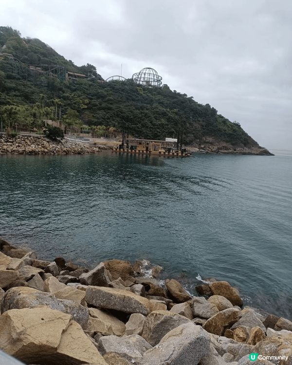 建議大家有空可以去海洋公園睇睇海有空去西貢食下海鲜是唔錯的选...