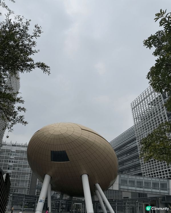 放假去咗科學園《八方棧》飲茶，有戶外位置方便寵物一齊，望住吐...