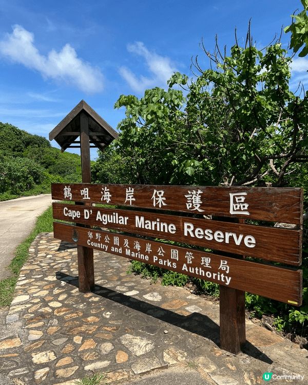 香港鶴咀海岸保育區：市區旁的隱世海岸秘境
