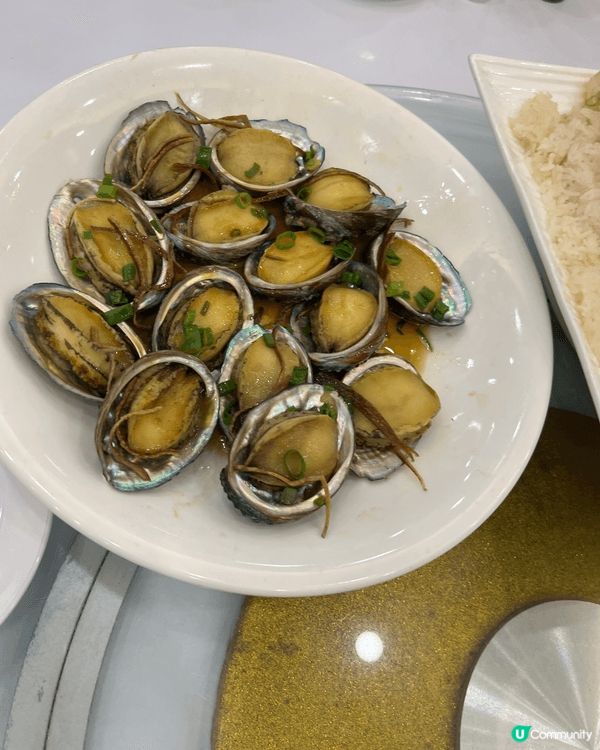 呢排大寶煎肉餅好紅，其實我屋企樓下間茶餐廳都好正，佢可以做一...