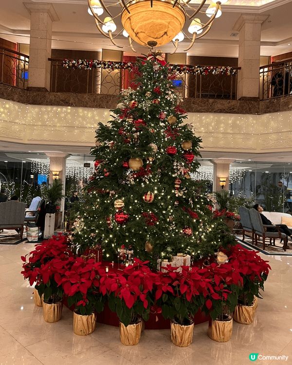 AMC深灣遊艇會，中西餐廳都有，娛樂多元化，可惜需要會員帶入...