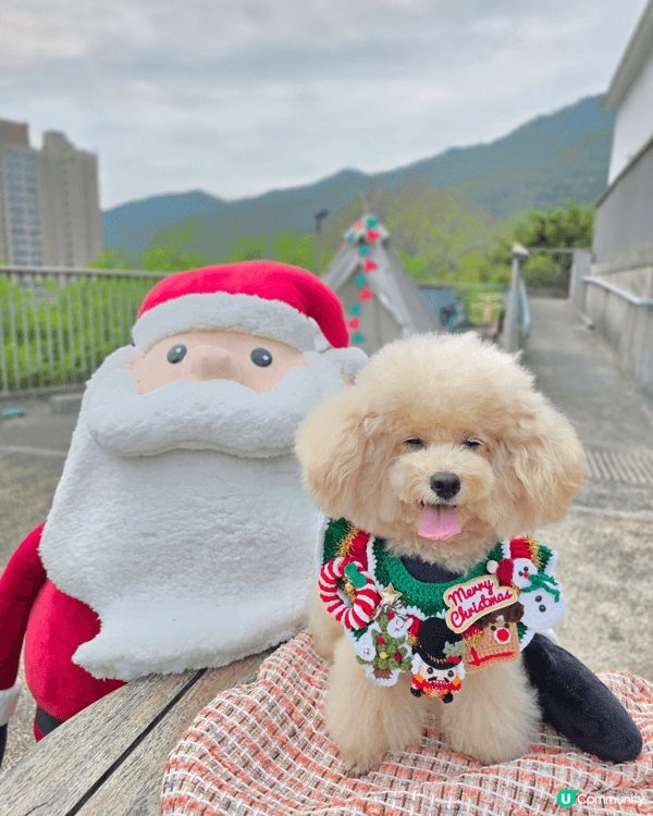 近期最hit一定係去影聖誕相啦，周圍打完卡仲要同寶貝去草地放...