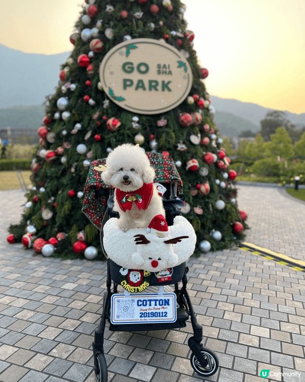 十二月就是不斷周圍打卡的月份🎄Go Park 西沙是一個親子...