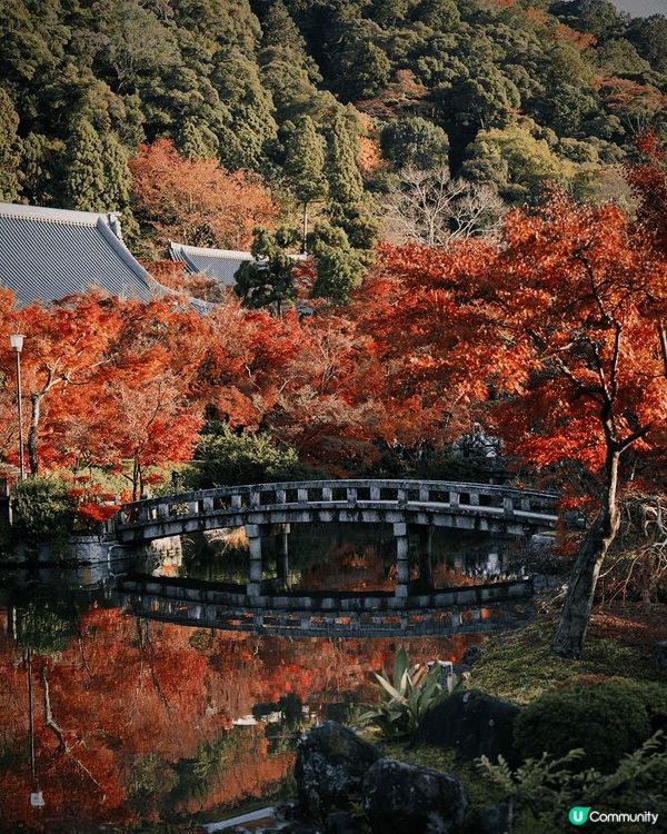 這一趟，是從城市邊緣走進秋天的深處