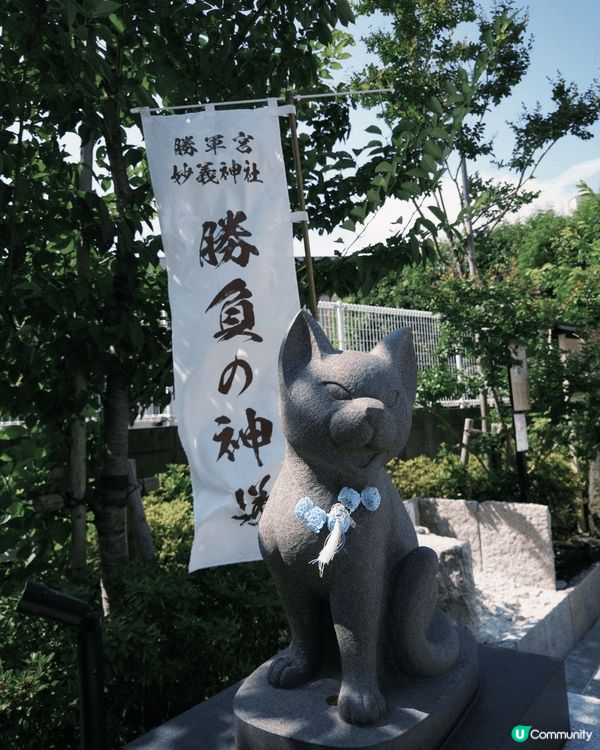 東京貓奴必去！妙義神社