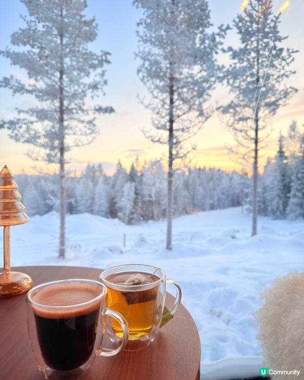 芬蘭聖誕之旅❄️玻璃屋體驗！🤩