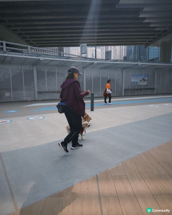 2025 最新打卡點！超刺激透明玻璃台／天空之鏡☀️