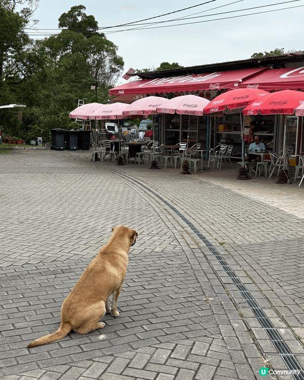 大嶼山天壇大佛，香港旅遊景點之一。係一個令人洗滌心靈嘅地方。...