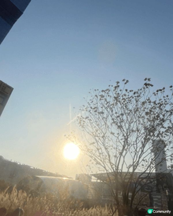 深圳後海有不同嘅商場，舖頭給遊客去逛逛，喺萬象城外邊嗰條行人...