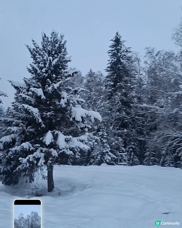 新疆冬日遊，尤如北歐冰雪森林的地方～漫天飛花，嚴冬柔情～