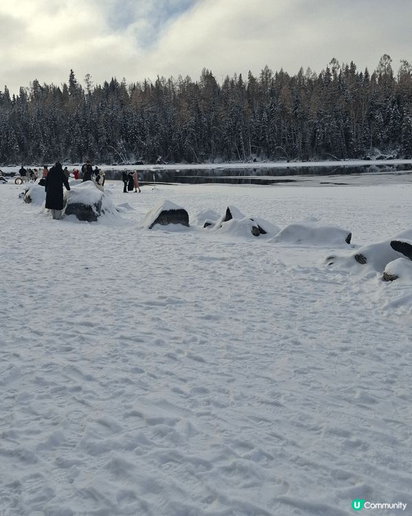 新疆冬日遊，尤如北歐冰雪森林的地方～漫天飛花，嚴冬柔情～