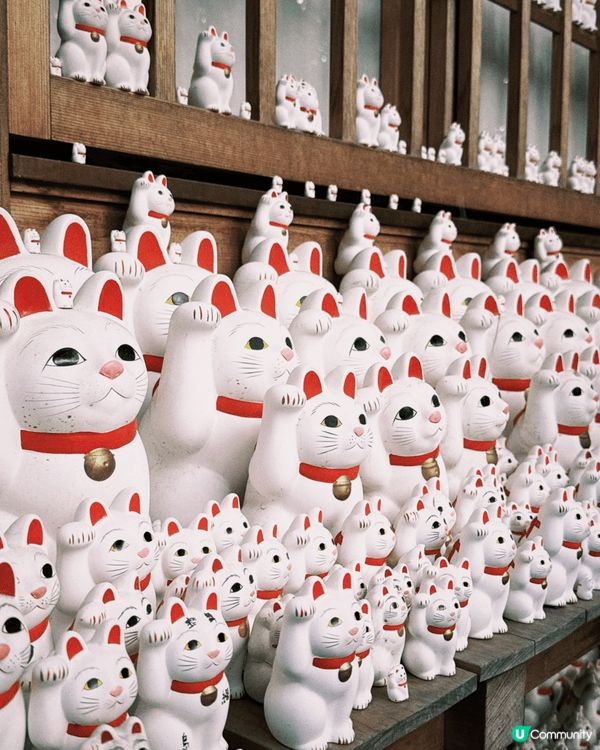 最近去咗日本嘅貓貓神社，沿途可以見到滿滿招財貓、安靜嘅街道同...
