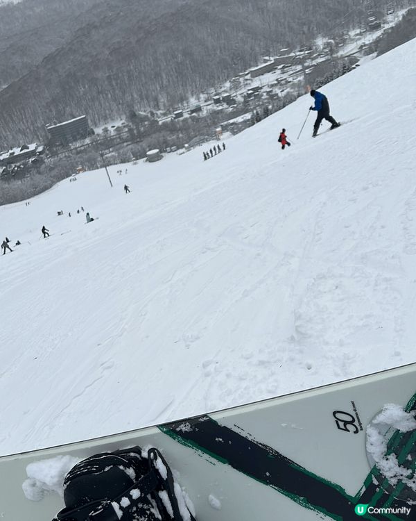 北海道超適合冬天去 雪景真係好靚 好適合打卡影靚相 滑雪比起...