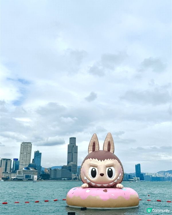 早前在維港舉行的海上大巡遊，吸引咗不少旅客前來打卡，不單止有...