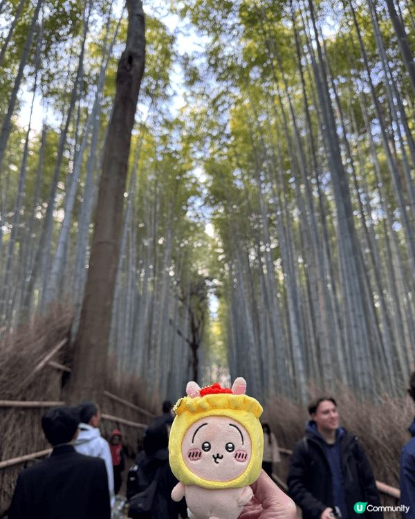 趁聖誕去日本享受望下風景，感受地道日本風土人情，放鬆心情，2...