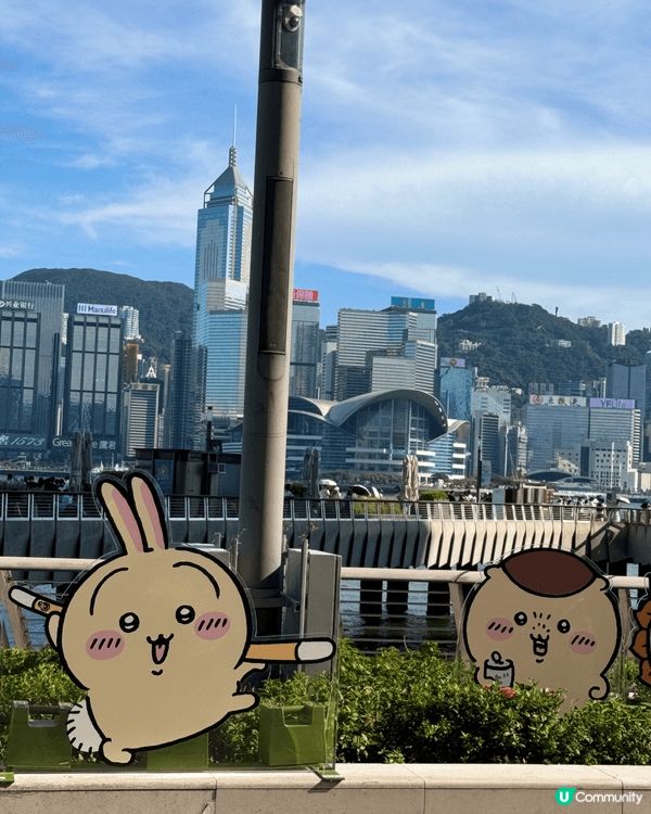 香港各式各樣嘅藝術及緊貼潮流嘅活動，以及香港主題樂園 好符合...