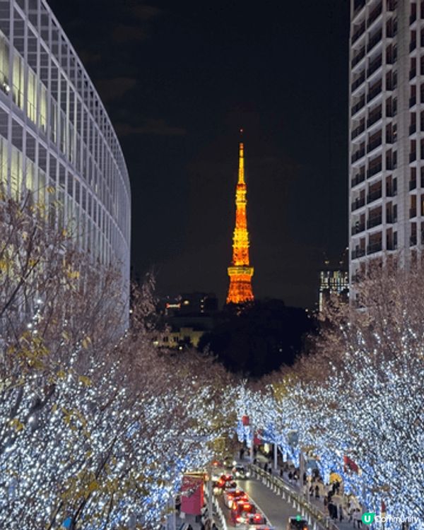 東京-富士山（山中湖），淺草和服，六本木。