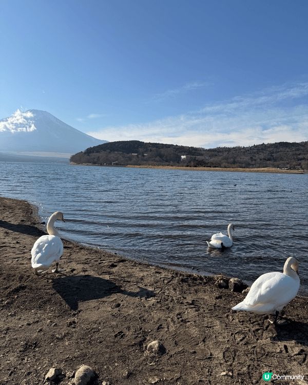 東京-富士山（山中湖），淺草和服，六本木。