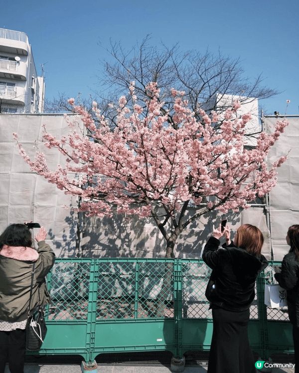 呢幾張相片記錄咗一趟日本旅程嘅不同美好瞬間：夜晚喺大阪新世界...