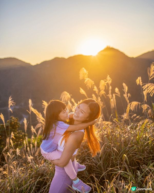 秋冬季節去東洋山行山，輕輕鬆鬆上山欣賞芒草，呼呼大自然新鮮空...
