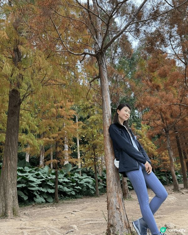 山-行山, 親自去行山可以感受自然嘅靚, 又可以鍛鍊身體, ...