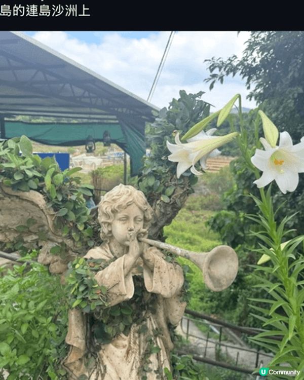 生活到處都值得留下記錄，例如風靡一時的大寶冰室、偶然經過的灣...