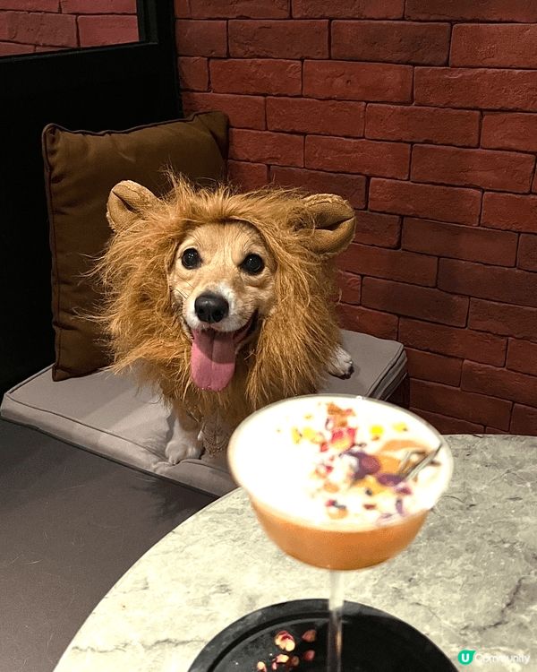 《西餐推介🍽️》
