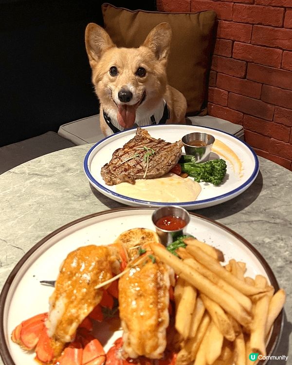 《西餐推介🍽️》