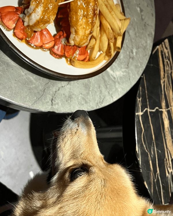 《西餐推介🍽️》