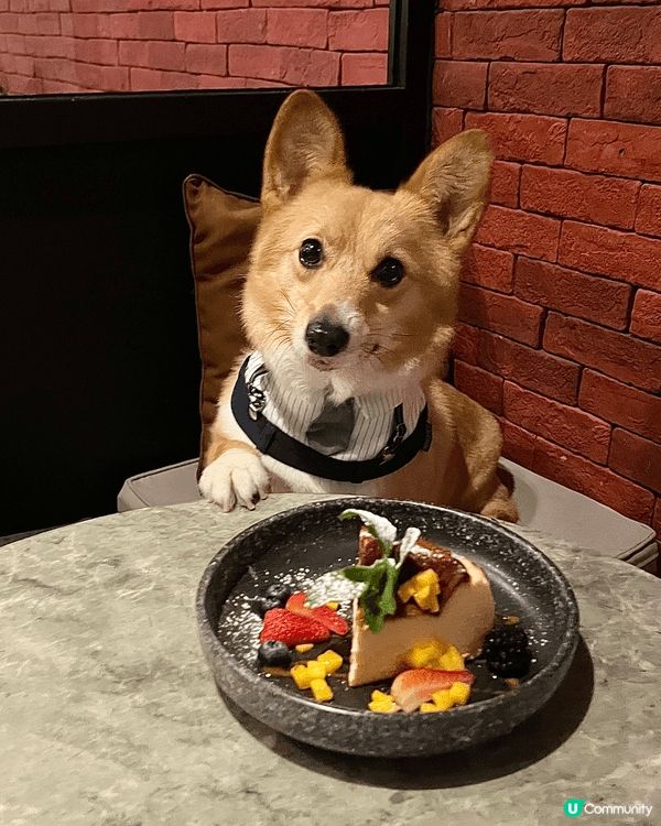 《西餐推介🍽️》