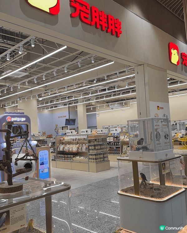 圖1:深圳崗廈北站商場新開大形寵物店，種類多，值得去睇睇