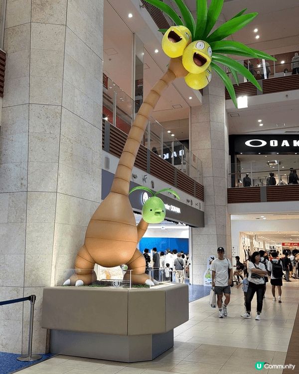 圖1:深圳崗廈北站商場新開大形寵物店，種類多，值得去睇睇