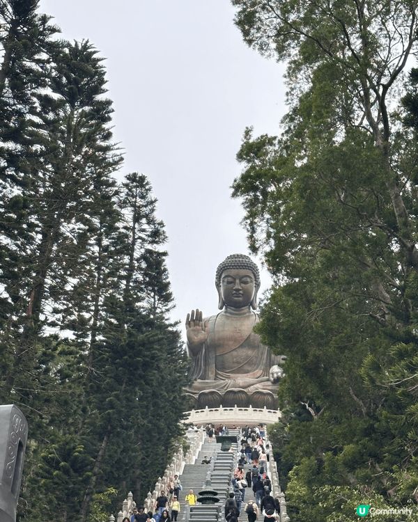 天壇大佛、迪士尼、彌勒山