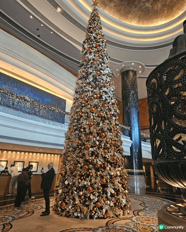 灣仔君悦酒店，每年聖誕節都佈置得很有氣氛，在大堂內的聖誕樹，...