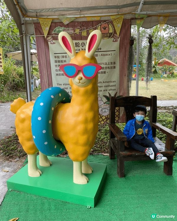 推薦元朗錦田菠蘿園，適合一家大小遊玩，可以餵羊駝及兔子，也有...