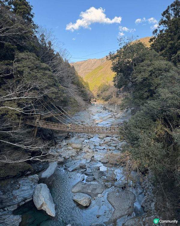 上年去德島同香川縣自駕遊之旅，有好多第一次。第一次行藤蔓吊橋...