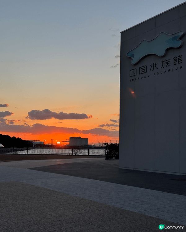 上年去德島同香川縣自駕遊之旅，有好多第一次。第一次行藤蔓吊橋...